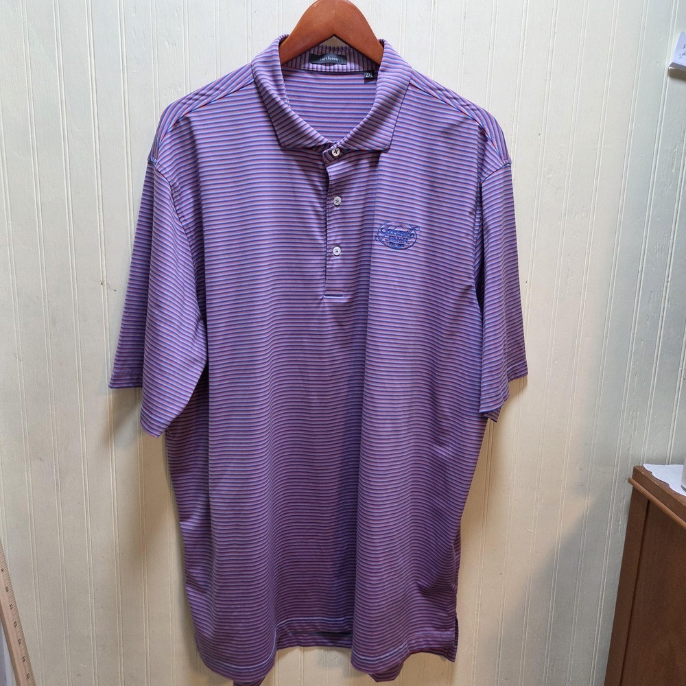 Turtleson Jacksonville Golf & CC Polo Shirt Mens 2XL Purple Stripe Stretch